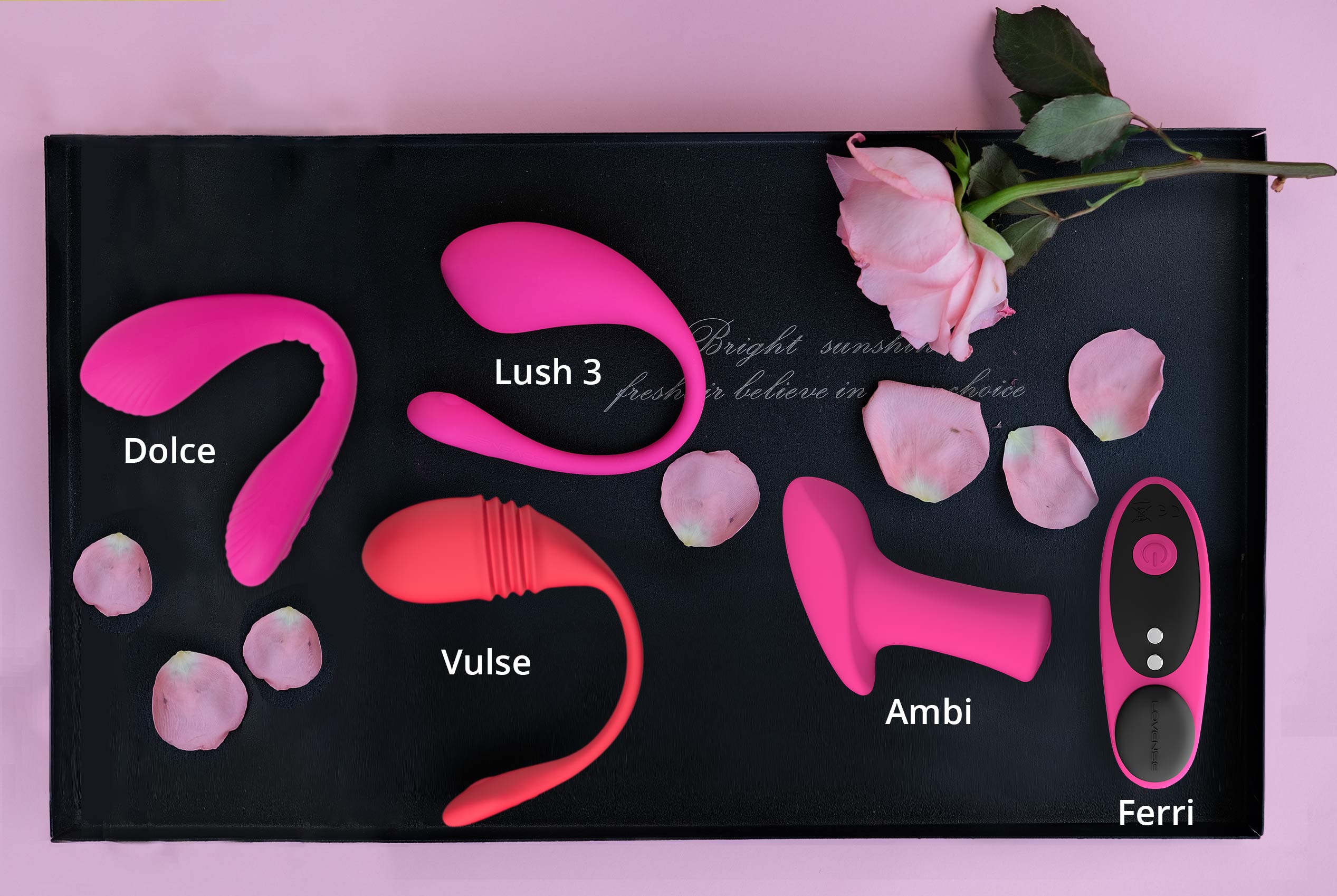 Lovense Wishlist Lush 3, Ferri, Dolce, Vulse, Ambi Review